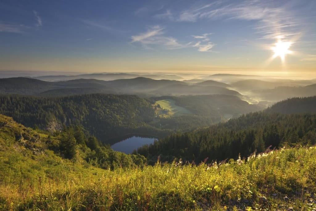 Waldlicht Titisee Extérieur photo