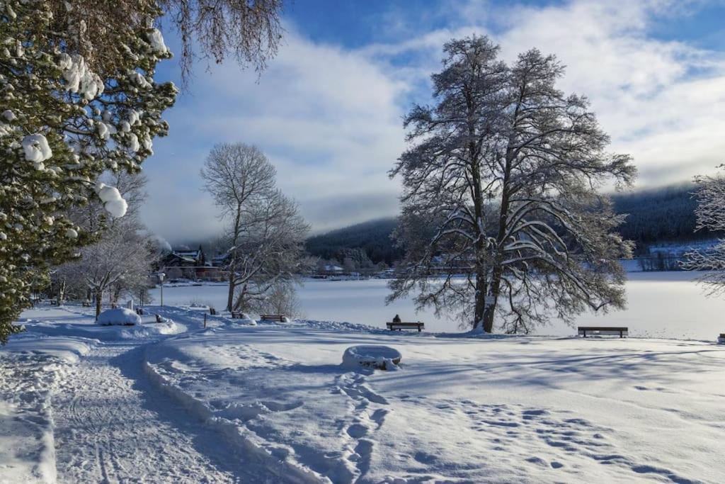 Waldlicht Titisee Extérieur photo